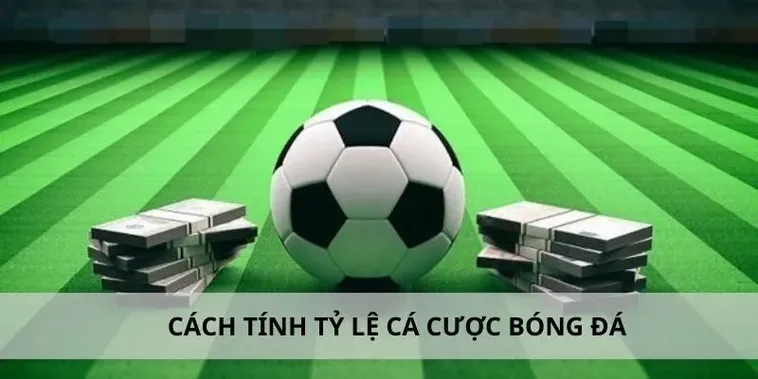 Tìm Hiểu Cá Cược Bóng Đá Win55 Với Kèo Hấp Dẫn Nhất 2 Tìm Hiểu Cá Cược Bóng Đá Win55 Với Kèo Hấp Dẫn Nhất