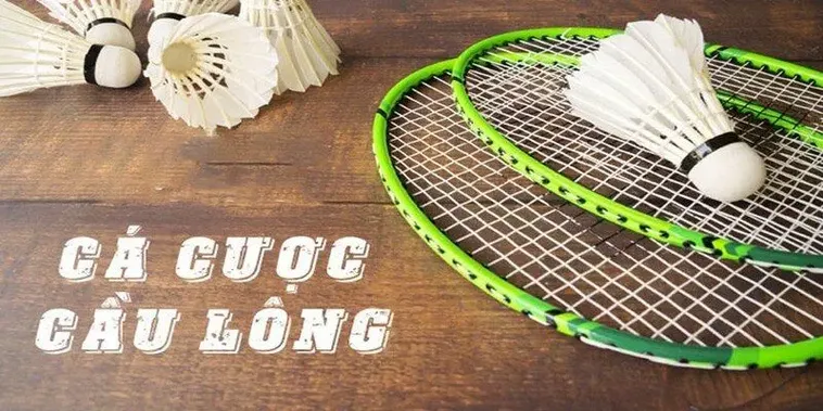 Cách Chơi Cá Cược Cầu Lông Tại Win55 An Toàn Hiệu Quả 2 Cách Chơi Cá Cược Cầu Lông Tại Win55 An Toàn Hiệu Quả