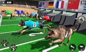 Cách Chơi Game Nhanh Đua Chó Online Hiệu Quả Tại Win55 4 Cách Chơi Game Nhanh Đua Chó Online Hiệu Quả Tại Win55