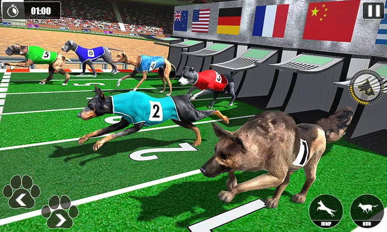 Cách Chơi Game Nhanh Đua Chó Online Hiệu Quả Tại Win55 1 Cách Chơi Game Nhanh Đua Chó Online Hiệu Quả Tại Win55